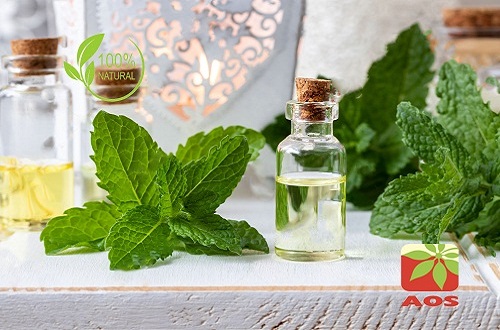 mentha arvensis leaf oil